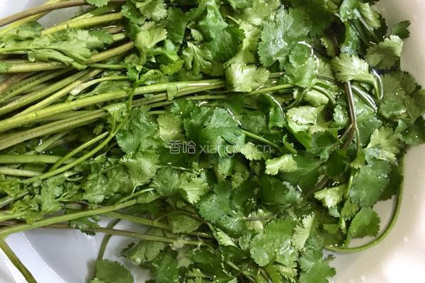 皮蛋拌香菜的做法图解2