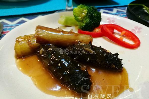 葱烧海参的做法图解7