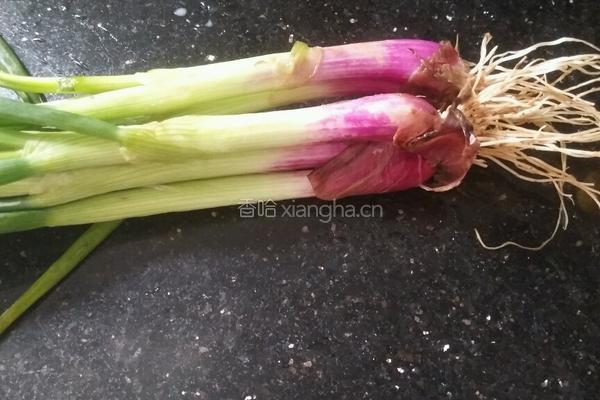 腐皮肉丸的做法图解1