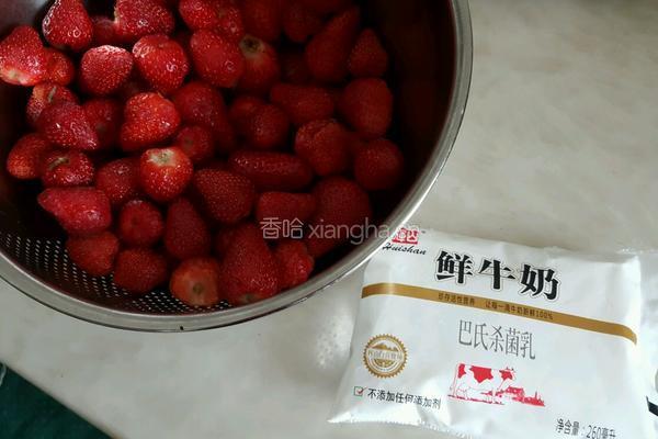 草莓奶昔的做法图解1