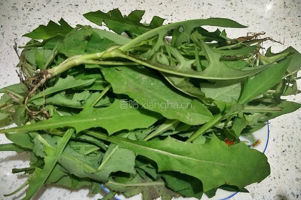 野菜草饼的做法图解2