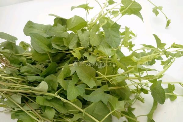 打碗花野菜团子的做法图解1