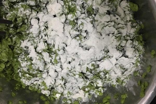蒸榆钱的做法图解4