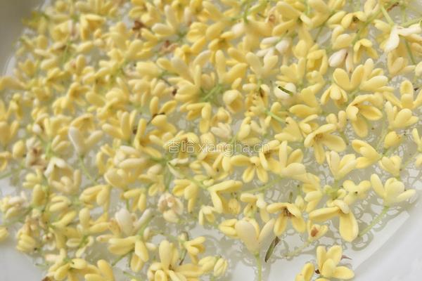 马蹄桂花糕的做法图解1
