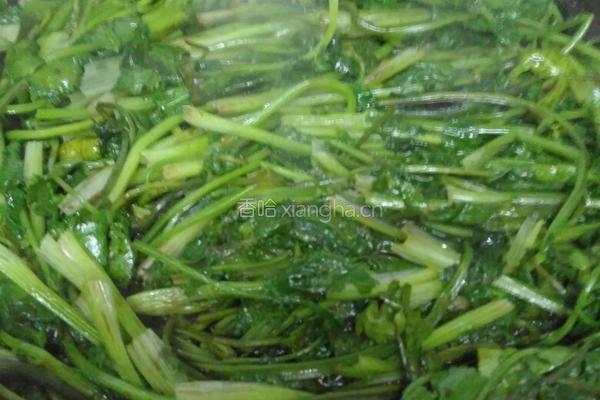 花生牛肉焖香菜的做法图解11