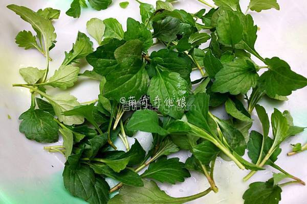 清明团子的做法图解16