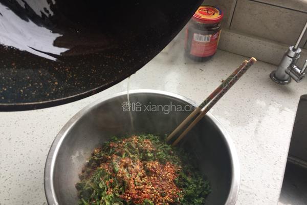 油泼香椿的做法图解8