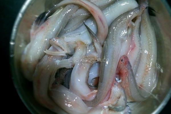 豆腐鱼（龙利鱼）肉末蒸蛋的做法图解1