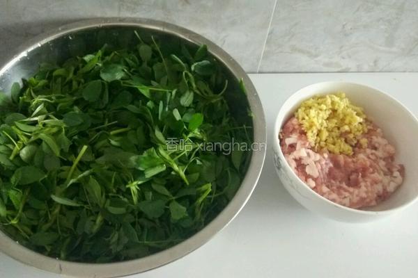 苜蓿猪肉饺子馅的做法图解1