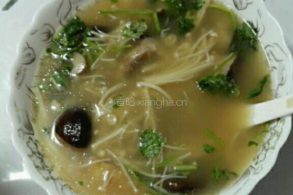 蘑菇汤的做法图解5