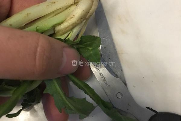 荠菜的做法图解2