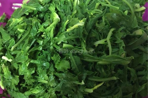荠菜的做法图解6