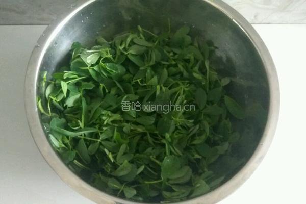 凉拌苜蓿的做法图解1