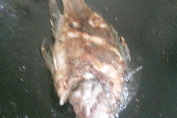 香煎罗非鱼的做法图解5