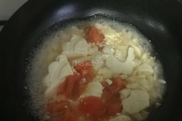 西红柿豆腐的做法图解6