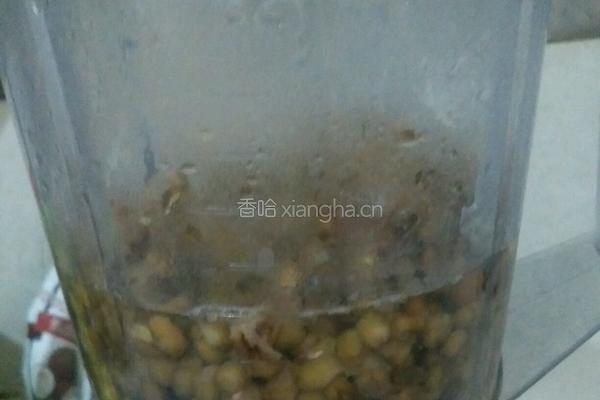 绿豆沙的做法图解4