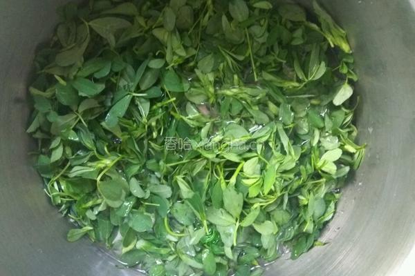 苜蓿炒鸡蛋的做法图解2