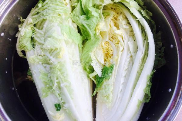 辣白菜的做法图解5