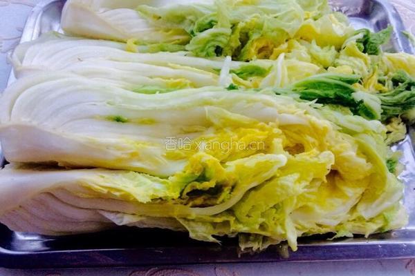 辣白菜的做法图解7