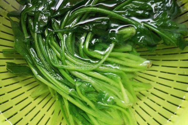 蚝油小酱拌菠菜的做法图解5