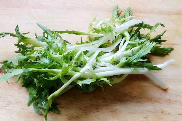 苦菊牛肉面的做法图解2