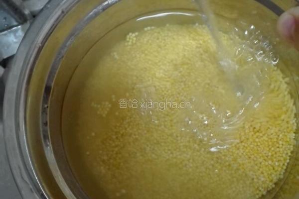 小米粥的做法图解2