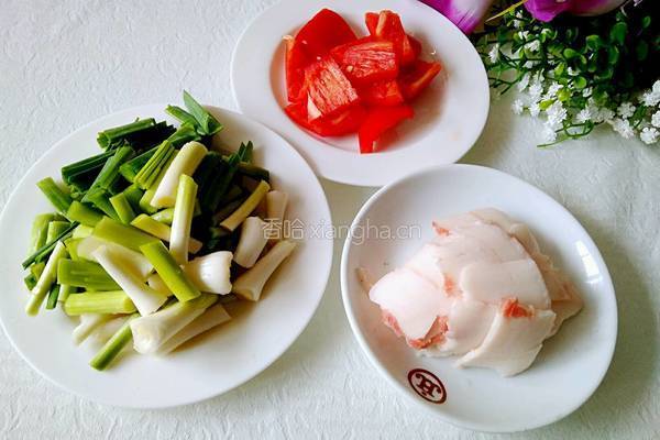 青蒜炒春笋的做法图解4