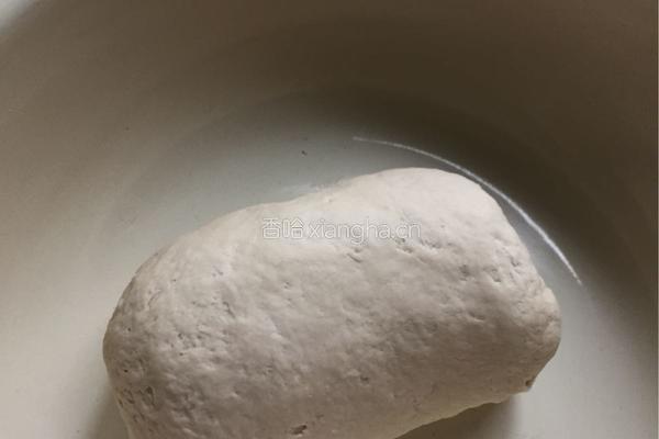 荠荠菜饺子的做法图解2