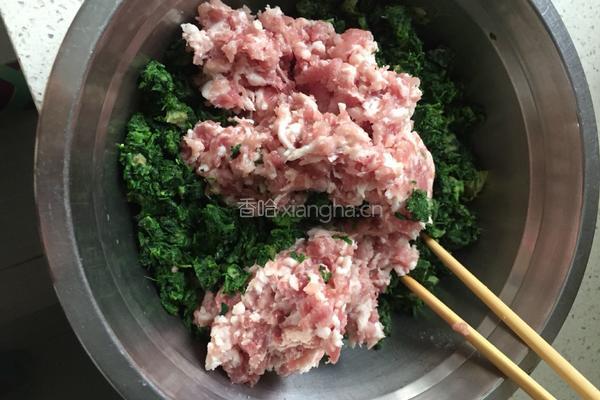 荠荠菜饺子的做法图解4