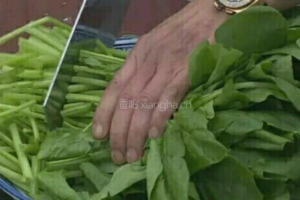 咸蛋黄炒菠菜的做法图解2