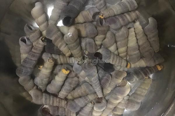 钉螺的做法图解1