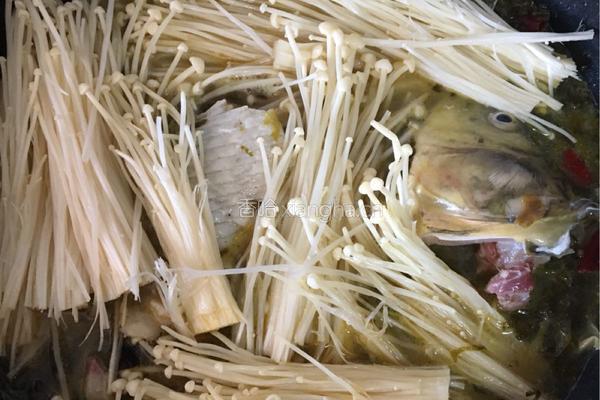 酸菜鱼的做法图解7