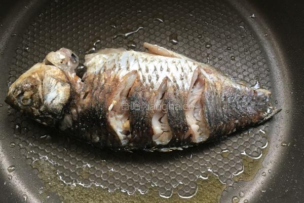 鲫鱼豆腐冬瓜汤的做法图解5
