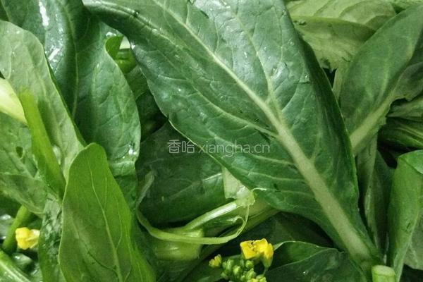 小炒油菜心的做法图解1