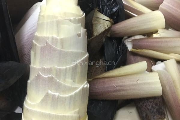 红烧肉焖春笋的做法图解1