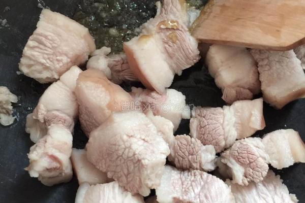 红烧肉焖春笋的做法图解10