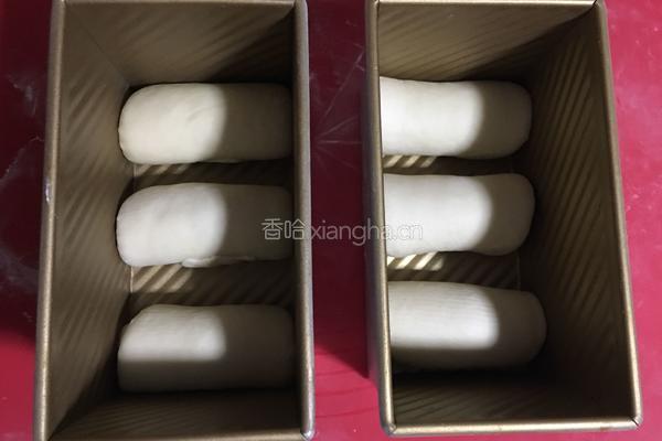 一次发酵白吐司的做法图解5