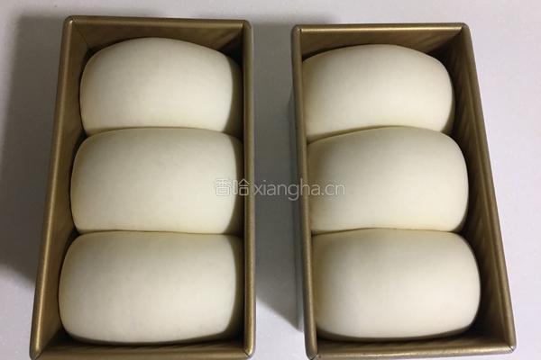 一次发酵白吐司的做法图解6