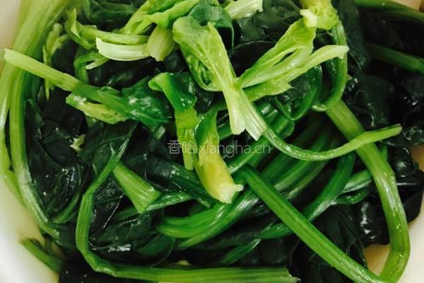 菠菜虾皮饼的做法图解2