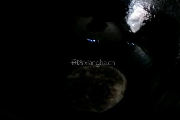 红烧肘子的做法图解3
