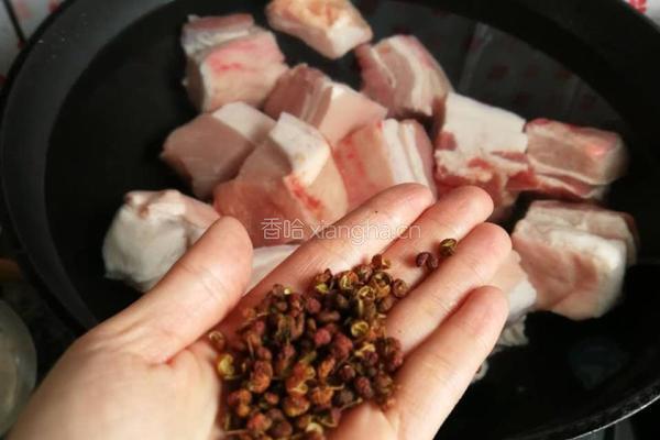 超级美味肉夹馍的做法图解6