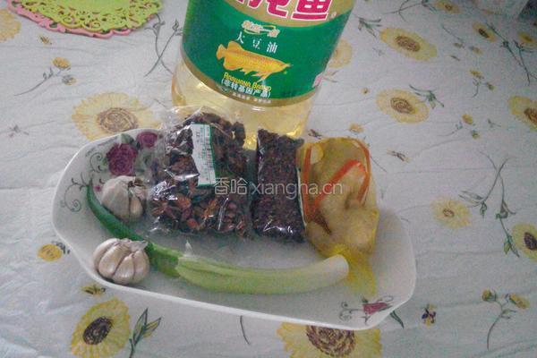 怎样榨材料油的做法图解1