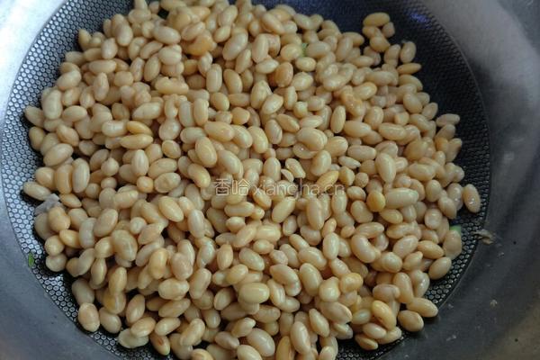 炖黄豆肉丁的做法图解5