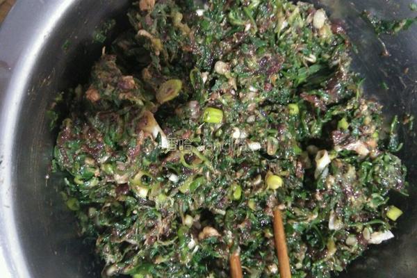 荠荠菜饺子的做法图解4