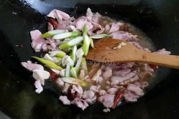 绿甘蓝炒粉条的做法图解5