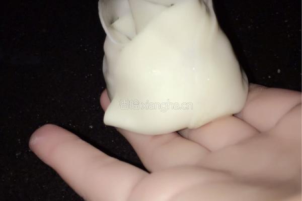 饺子养成记的做法图解10