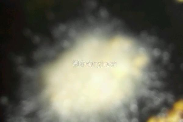 虾仁球的做法图解6