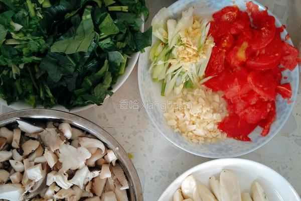 新疆羊肉汤饭的做法图解1
