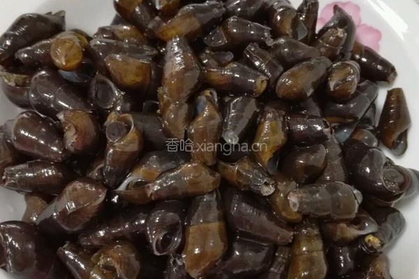 排骨茯苓煲坑螺的做法图解1