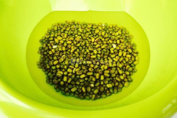 陈皮海带绿豆糖水的做法图解2